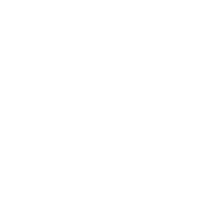 logo fff