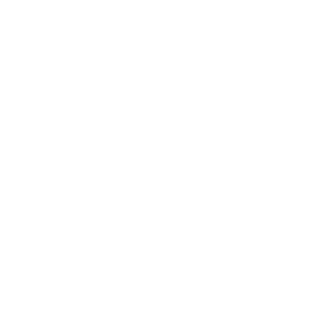 logo renault